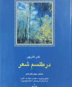 در طلسم شعر | نادر نادرپور