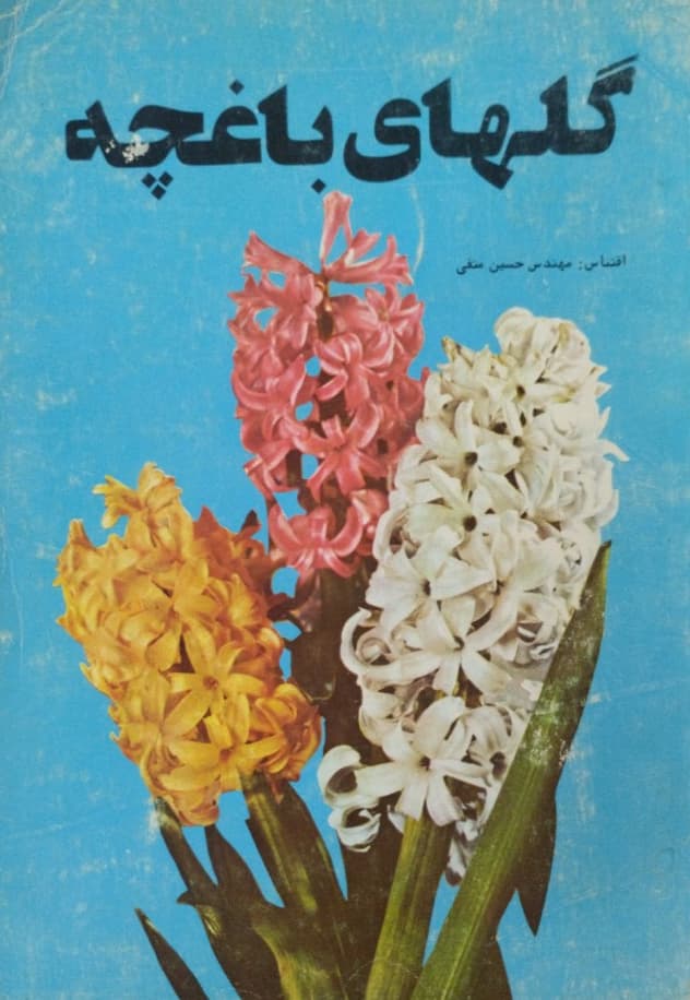 گلهای باغچه | حسین متقی