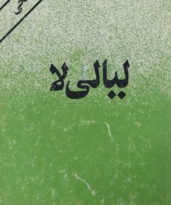 لیالی لا | علی صالحی