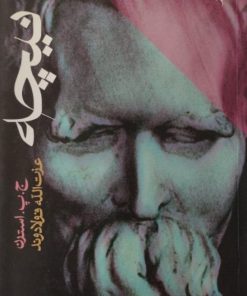 نیچه | ج.پ.استرن