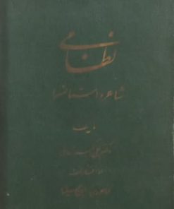 نظامی؛ شاعر داستانسرا | علی اکبر شهابی