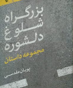 بزرگراه شلوغ دلشوره | پویان مقدسی