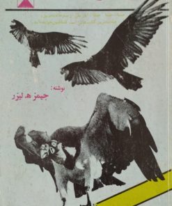 کرکس ها گرسنه اند | لیزر