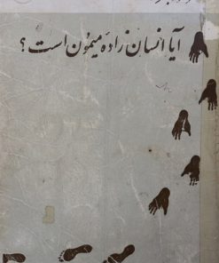 آیا به راستی انسان زاده ی میمون است؟ | محمود بهزاد