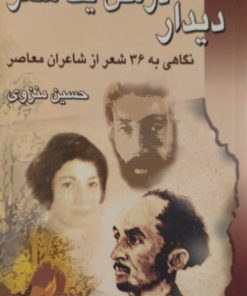 دیدار در متن یک شعر | حسین منزوی