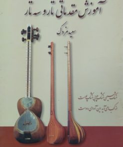 آموزش مقدماتی تار و سه تار | سعید مزدک