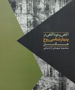 آگاهی و خودآگاهی در پدیدارشناسی روح هگل