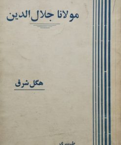مولانا هگل شرق است | طبری