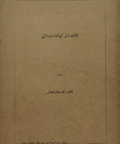 لغات و ترکیبات رودکی | عسکر حقوقی