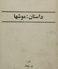 داستان: موشها | ب. بیدار