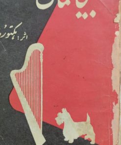 بیخانمان | هکتور مالو