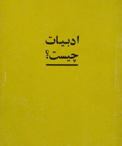 ادبیات چیست؟ | جان بورجس ویلسون