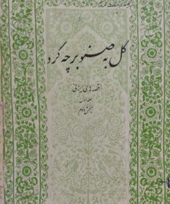 گل به صنوبر چه کرد(جلد1) | ابوالقاسم انجوی شیرازی