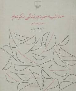 حتا شبیه خودم زندگی نکرده ام | منیره حسینی
