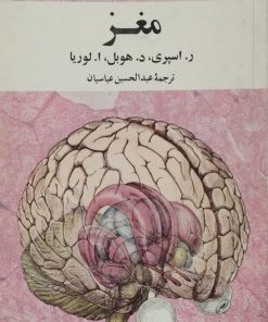 مغز