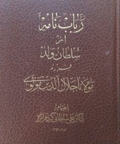 رباب نامه | سلطان ولد