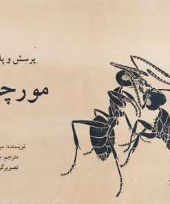 پرسش و پاسخ درباره مورچگان | ملیسنت سل سام