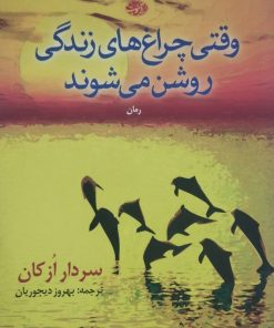 وقتی چراغ های زندگی روشن می شوند | سردار ازکان