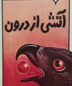 آتشی از درون | کارلوس کاستاندا