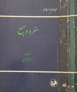 طرح دستور زبان فارسی | محمد معین
